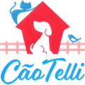 CãoTelli Rações e Acessórios